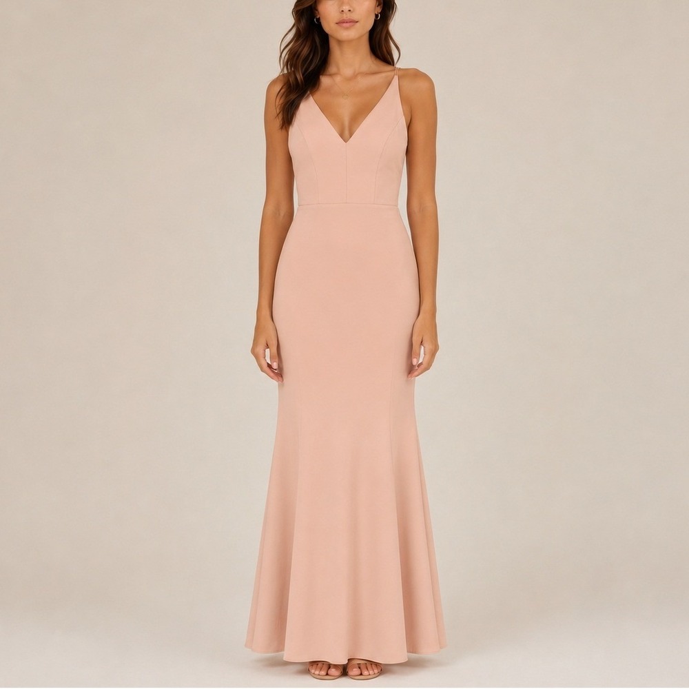 BHLDN Jones V-Neck Maxi Dress Blush Pink Formal Coquette Elegant 0